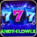 andy flower Prime - Win Real PKR