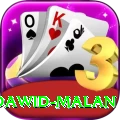 dawid malan Casino Plus v2.8.7