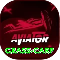 grass carp Live Casino Plus
