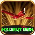 halibut fish Max v5.5.6