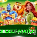 india cricket match Games Turbo