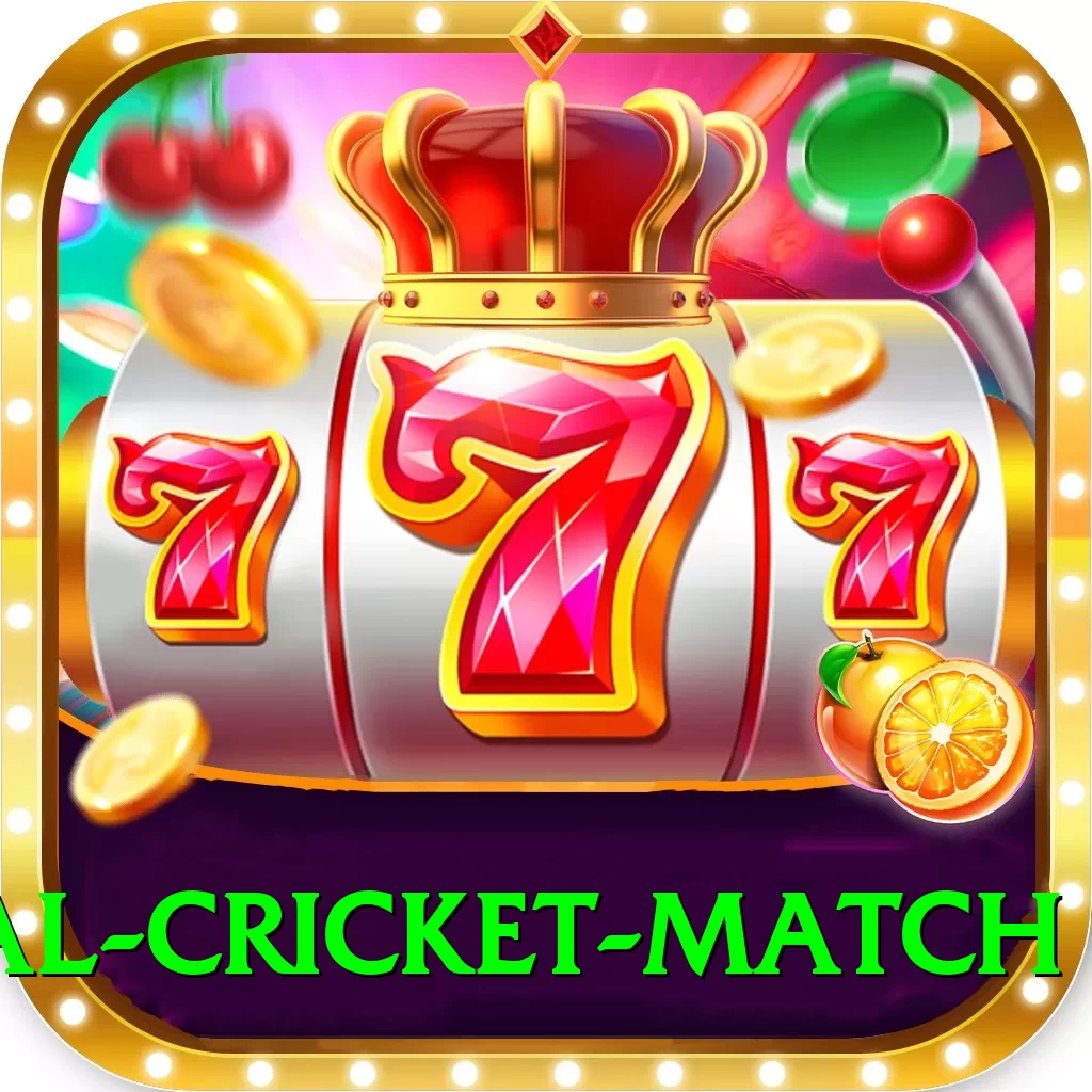 international cricket match Game Royal v1.0.3 - 2