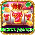 international cricket match Game Royal v1.0.3