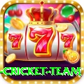 new zealand cricket team Ultimate Casino App
