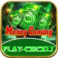 play cricket Slots VIP v5.4.7