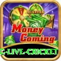 smartcric live cricket Casino Legend v3.5.2