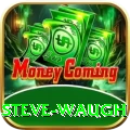 steve waugh Extreme v3.2.2