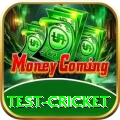 test cricket Bonus Supreme v4.8.1