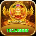 tiger888 Champion Gaming App