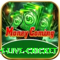 watch live cricket Plus Pakistan