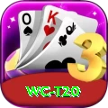 wc t20 - Casino Pro